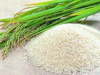 大米粥的功效与作用，怎么做好吃
