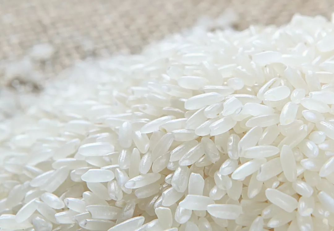 买了过多大米该如何正确的存放，你知道吗？