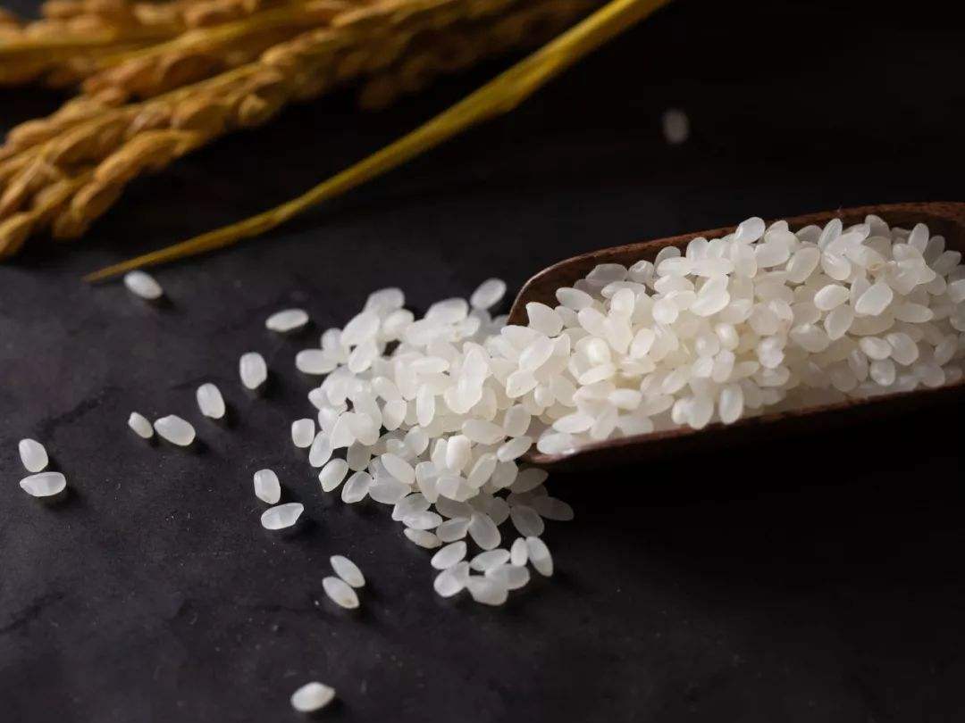 怎么样才能长时间的存放大米不生虫呢？