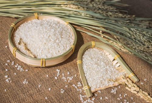 平时在购买大米的时候如何挑选合适的大米呢？