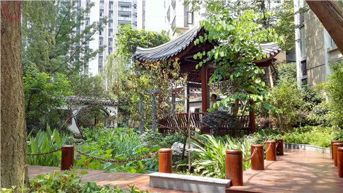 欣赏四川防腐木凉亭的美：打造舒适又耐用的休闲场所