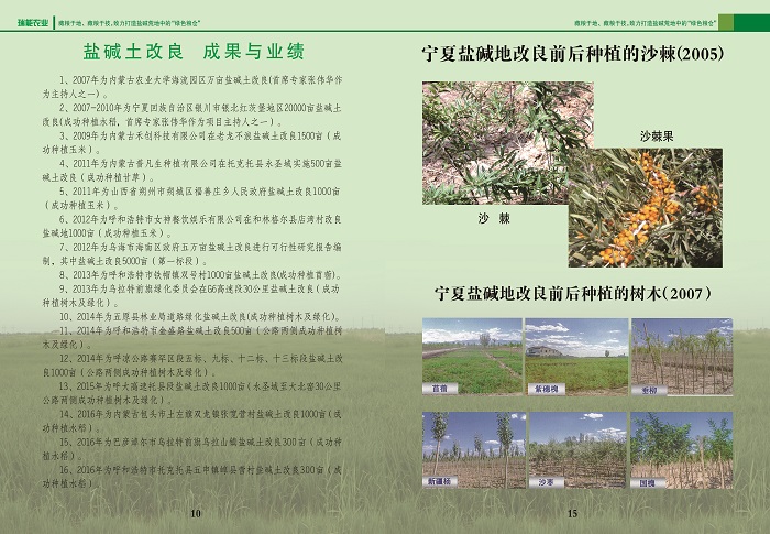 鹽堿地改良方法和做法