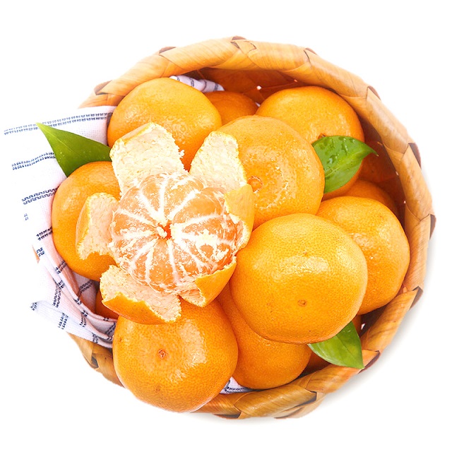 宜昌柑桔