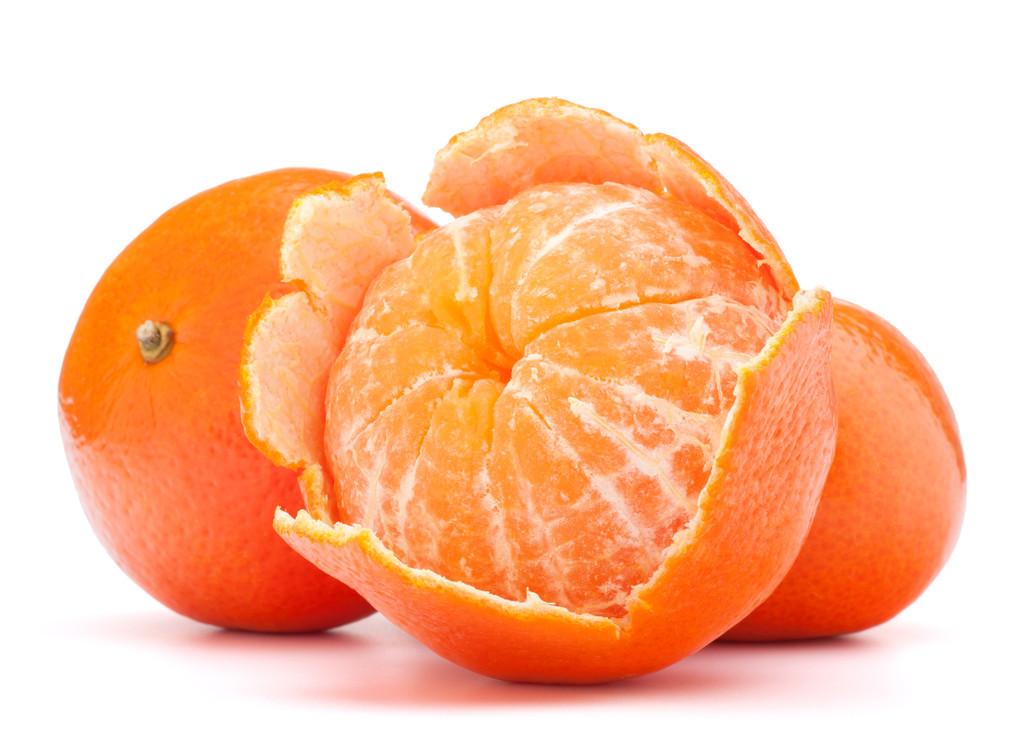 柑橘苗木果樹種植管理