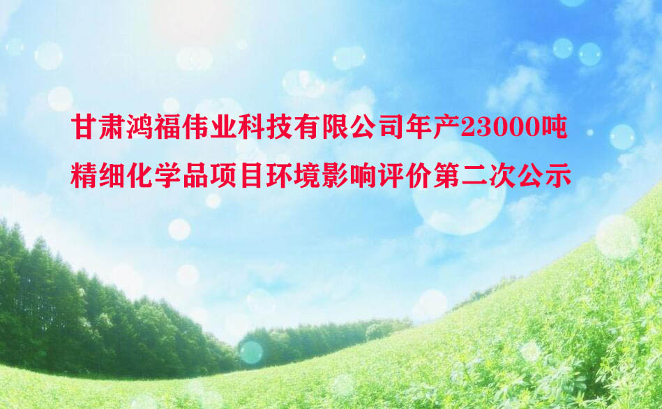 甘肃鸿福伟业科技有限公司年产23000吨精细化学品项目环境影响评价第二次公示