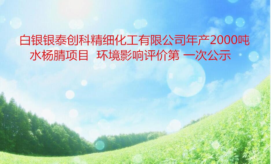 白銀銀泰創科精細化工有限公司年產2000噸水楊腈項目  環境影響評價第 一次公示