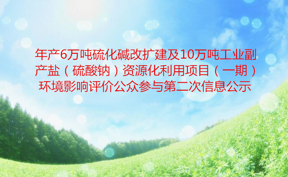 年产6万吨硫化碱改扩建及10万吨工业副产盐（硫酸钠）资源化利用项目（一期）尊龙凯时 - 人生就是搏!影响评价公众参与第二次信息公示