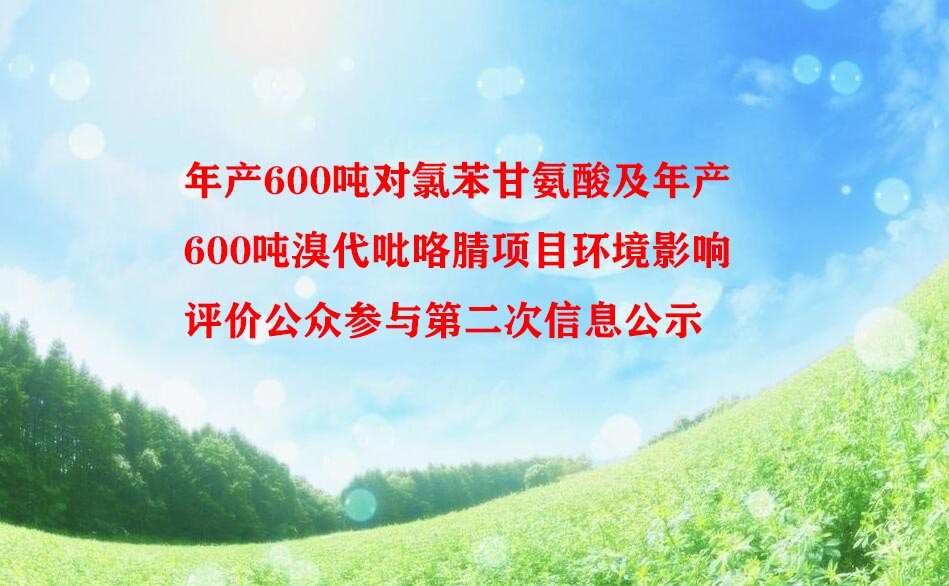 年产600吨对氯苯甘氨酸及年产600吨溴代吡咯腈项目凯发k8天生赢家一触即发影响评价公众参与第二次信息公示