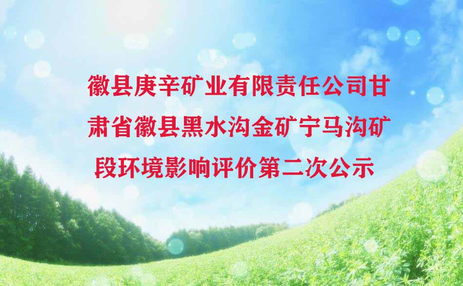 徽县庚辛矿业有限责任公司甘肃省徽县黑水沟金矿宁马沟矿段环境影响评价第二次公示