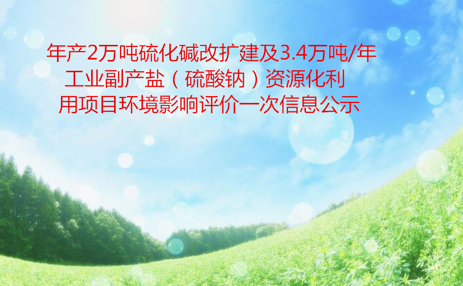 年产2万吨硫化碱改扩建及3.4万吨/年工业副产盐（硫酸钠）资源化利用项目环境影响评价一次信息公示