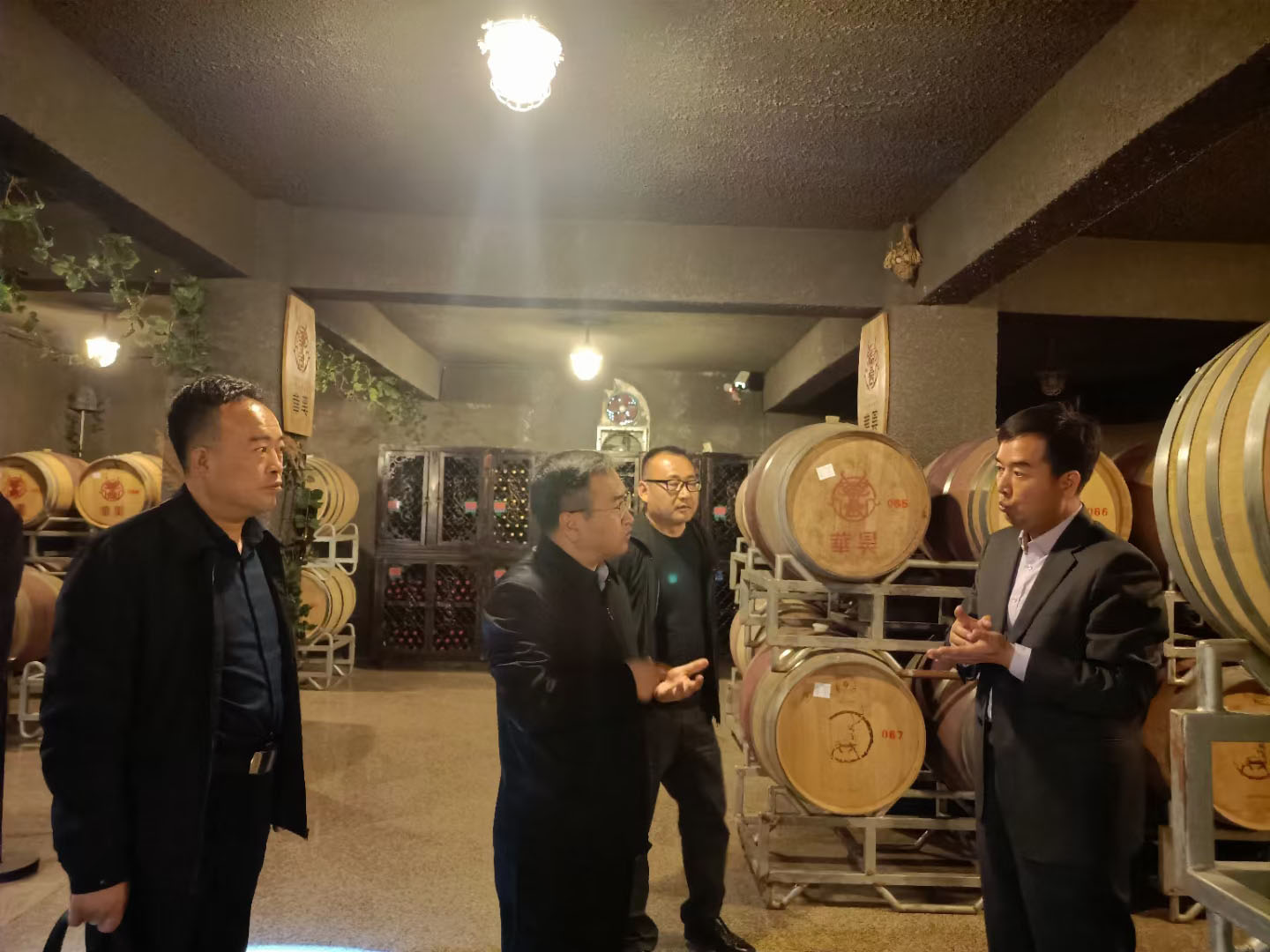 青铜峡市委副书记及市长一行人来到华昊酒庄调研葡萄产业