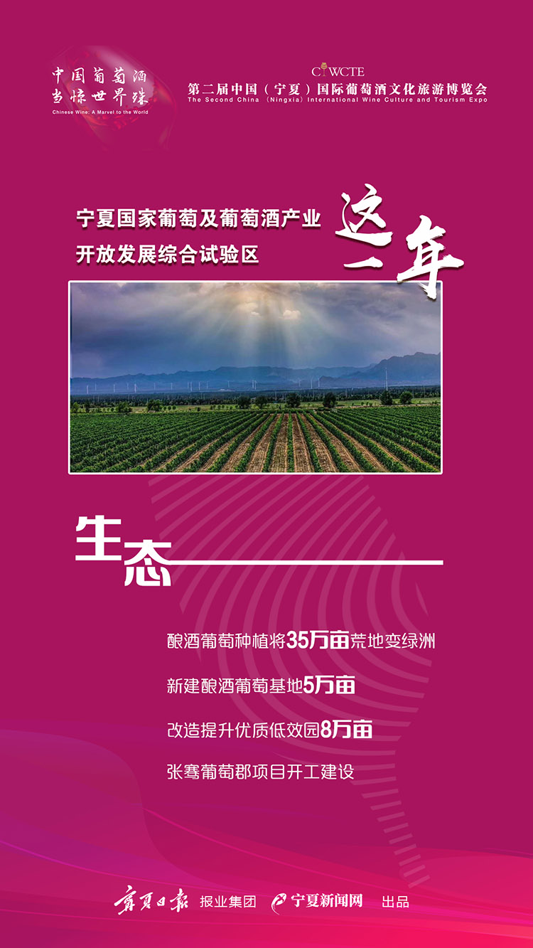 海报：宁夏国家葡萄及葡萄酒产业开放发展综合试验区这一年——生态·品牌·政策·文旅
