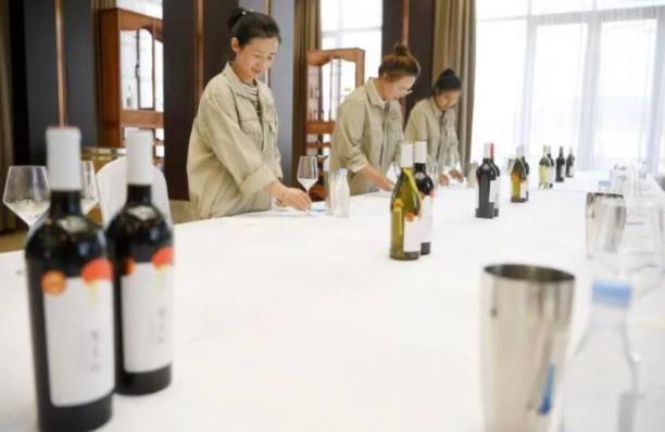 宁夏：葡萄酒产区规模未来扩大到100万亩，年产3亿瓶