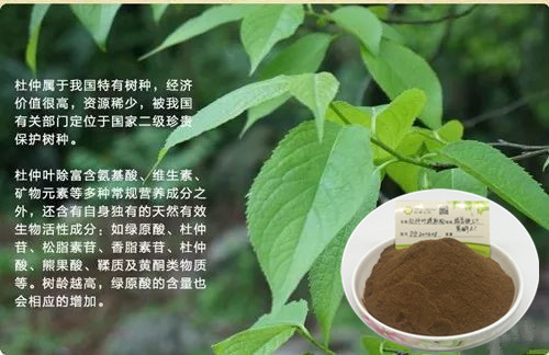 【锐博原创】植提生产之原料的前处理与提取