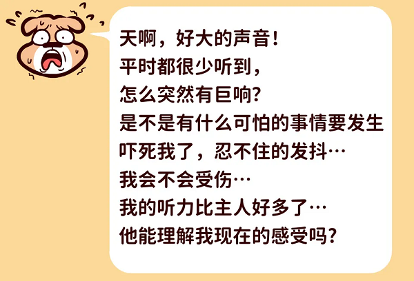 缓解宠物异常情绪，乐恩派内部调理是关键