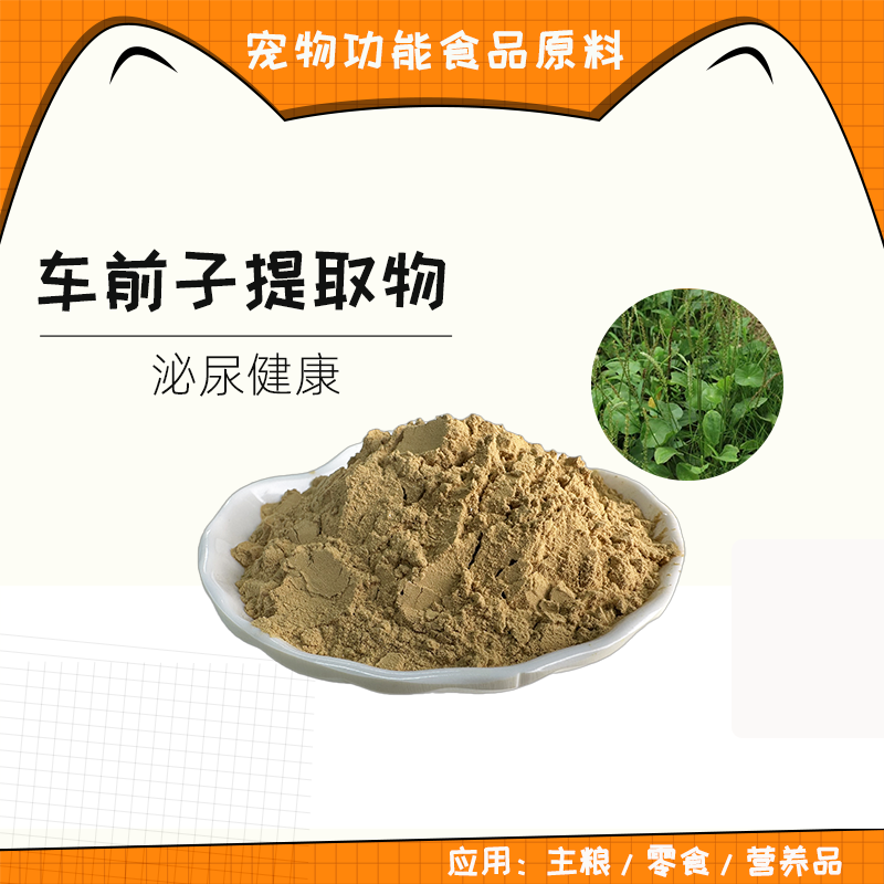 广东车前子提取物
