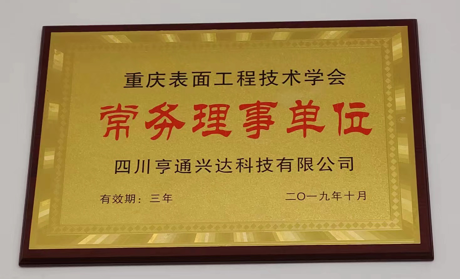 重慶表面工程技術學會2019常務理事單位