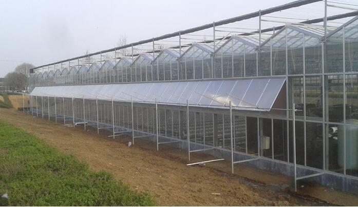 在陕西怎么选择合适的日光温室大棚建造地点?
