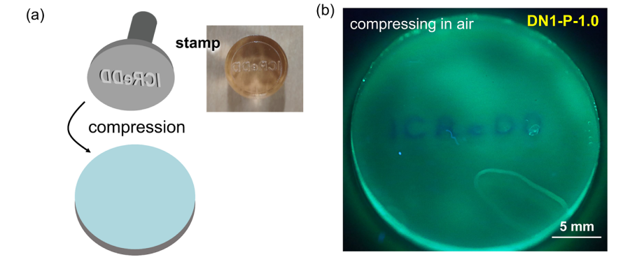 北海道大学龚剑萍团队JACS：..！水凝胶机械损伤实现实时可视化！