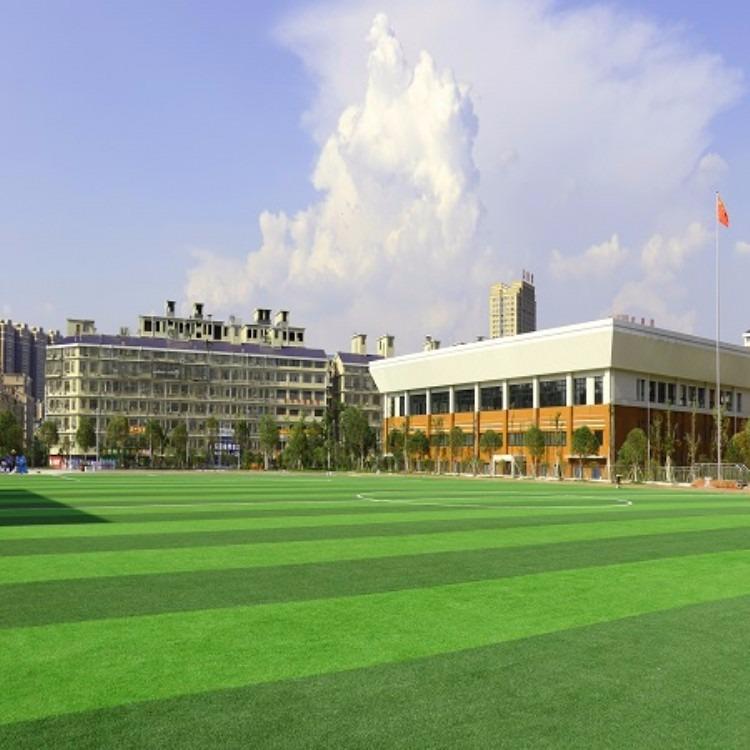 重庆四川运动草坪施工要求