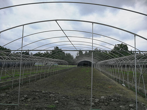 四川蔬菜温室大棚工程