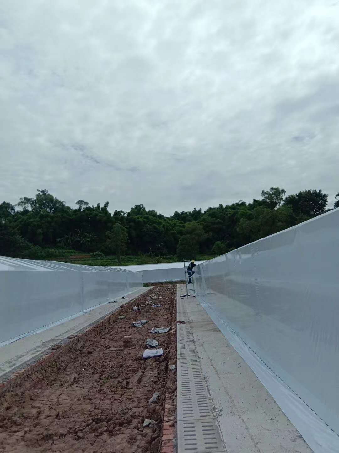 四川连栋温室大棚案列