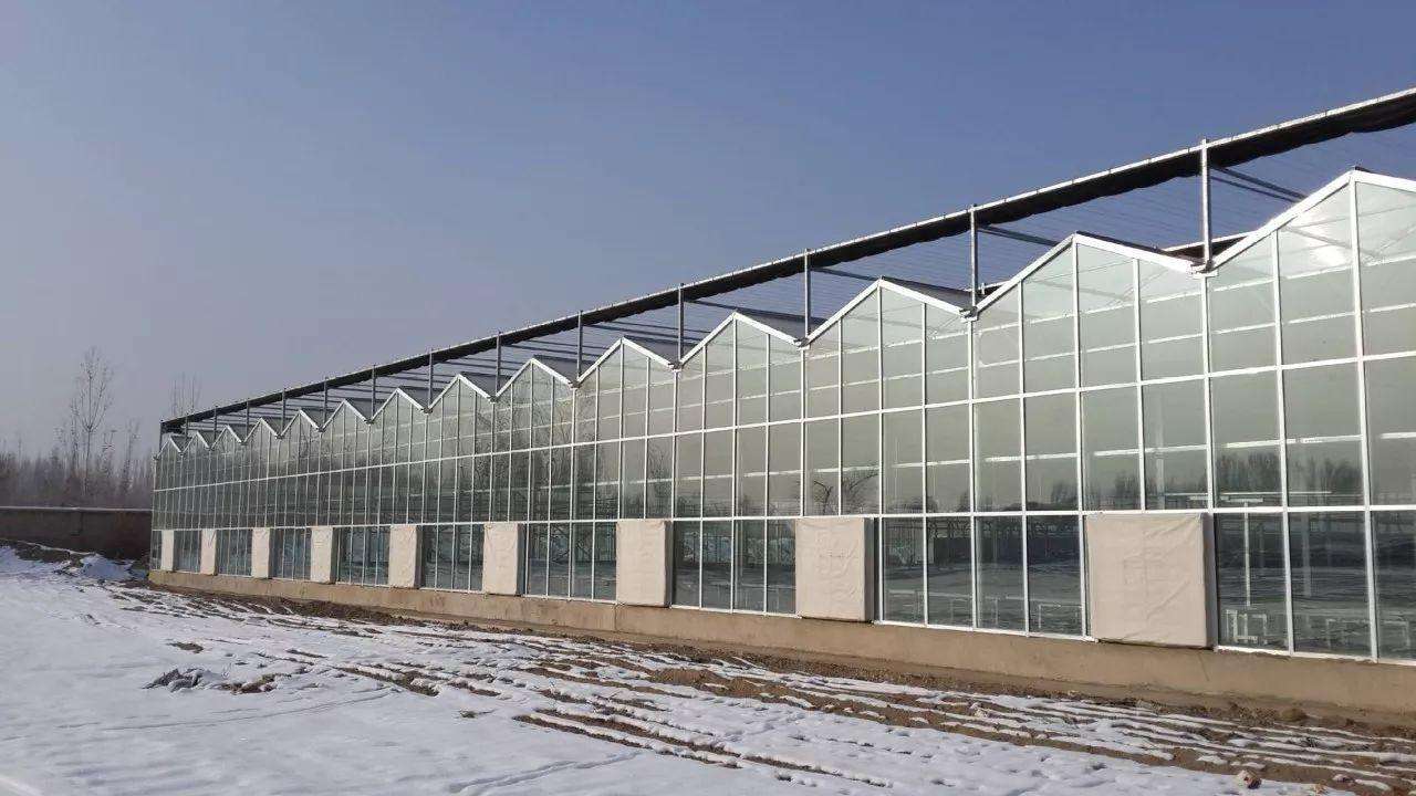 关于四川玻璃温室的优点你知道多少？