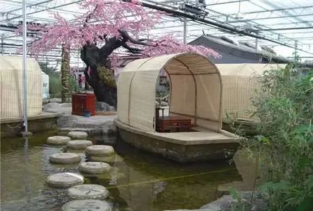 四川生态餐厅
