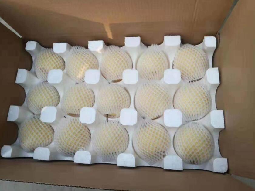 泡沫包裝托價格-15枚獼猴桃果托