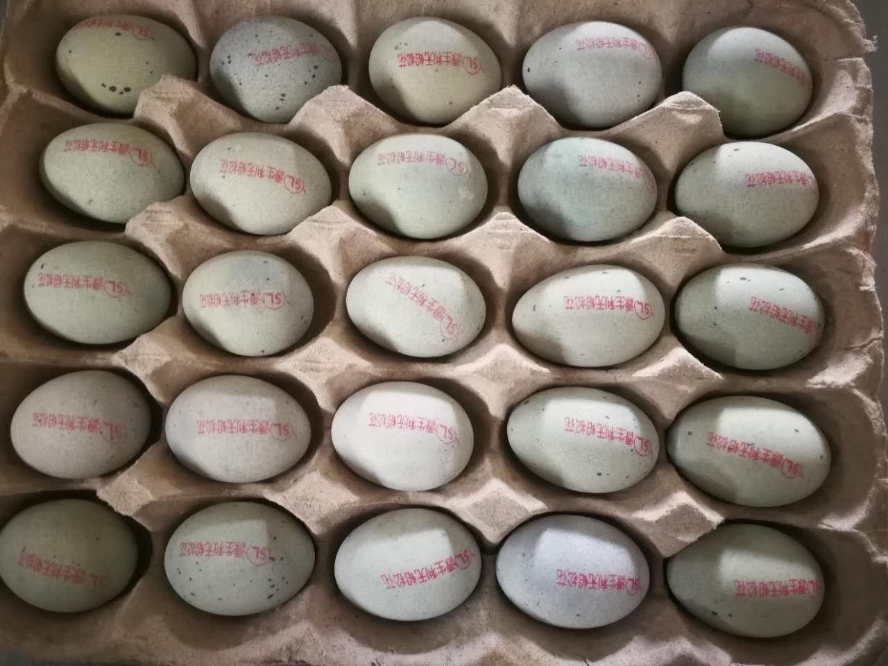 如何挑选鸭蛋，湖北咸鸭蛋生产厂家源生禽蛋来告诉你。