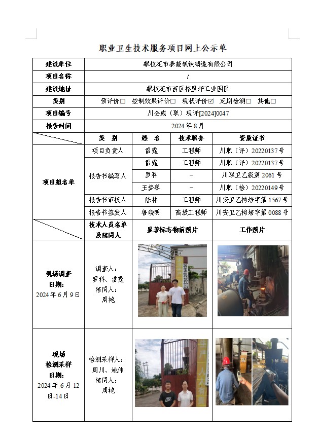 攀枝花市泰能钒钛铸造有限公司