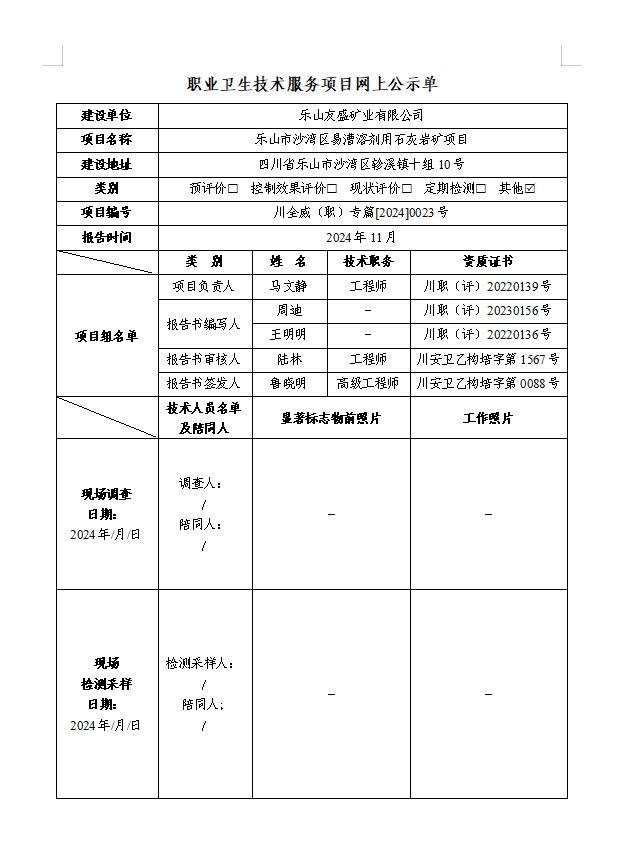 乐山友盛矿业有限公司 专