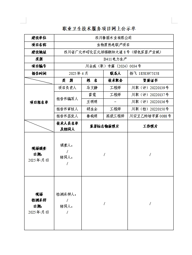 四川鲁丽木业有限公司生物质热电联产项目 专