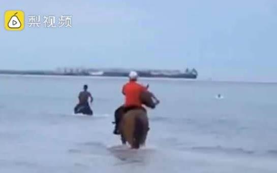 福建晋江3人骑马下海救下12岁男孩引发关注，事件中的马儿被赞“救命恩马”