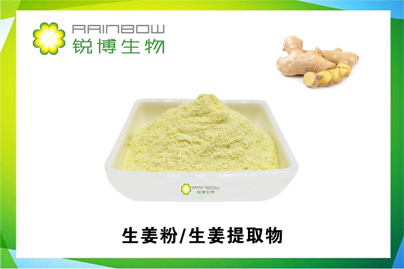 生姜粉-生姜提取物