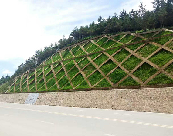 四川边坡绿化工程
