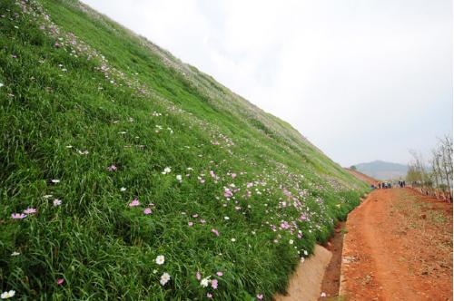 四川边坡绿化