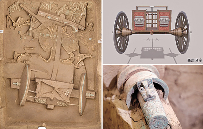 7月30日，陕西省考古研究院复原西周晚期青铜轮牙马车