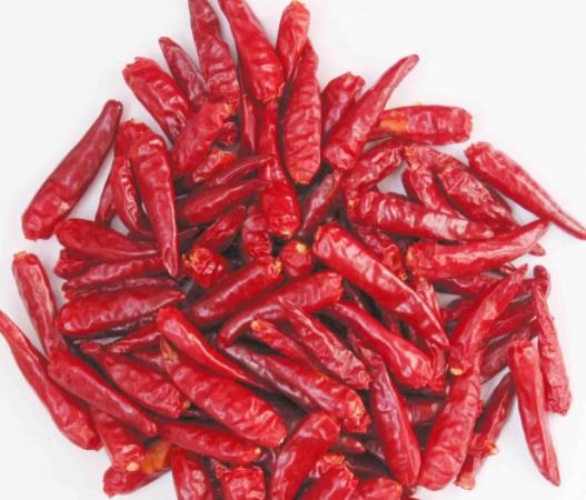 关于干辣椒品种，你了解多少？
