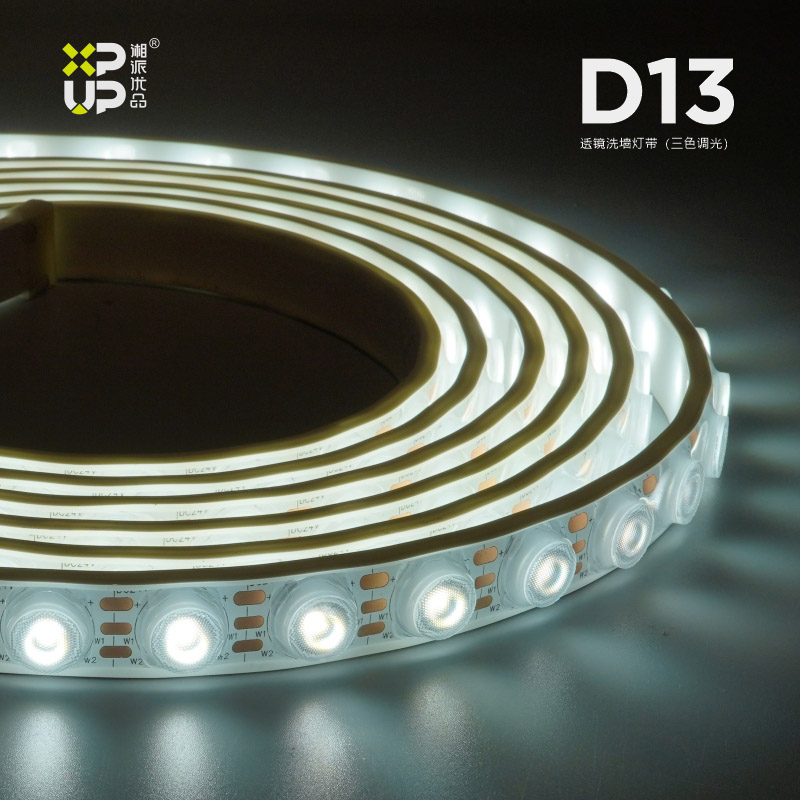 D13-透镜洗墙灯（双色）
