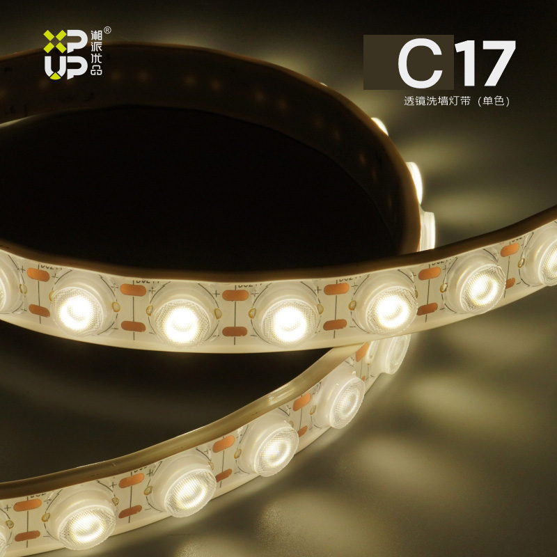 C17-透镜洗墙灯（单色）