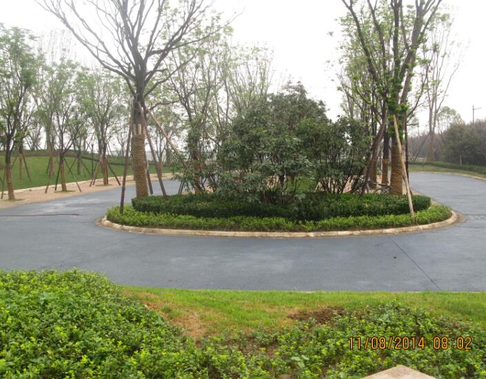 大家知道影响透水混凝土寿命的因素有哪些么
