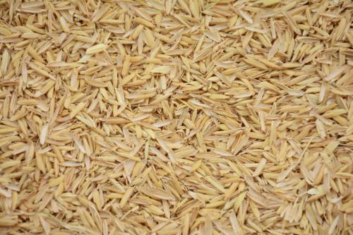 你知道大米磨出来之后的稻▲壳可以用在哪些地方吗？