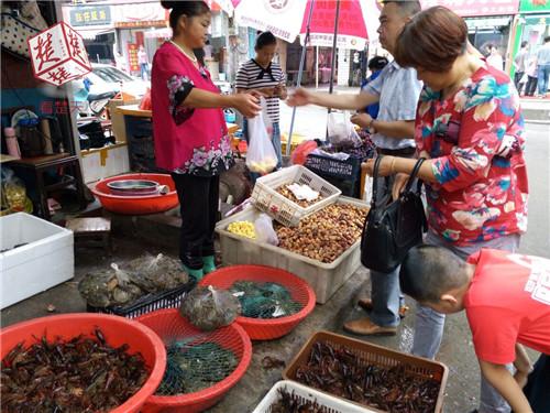 梁子湖大闸蟹 梁子湖大闸蟹