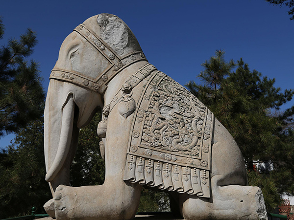 兰州石雕大象