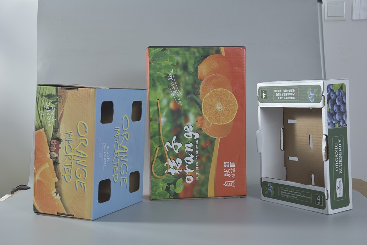 四川猕猴桃包装盒制作