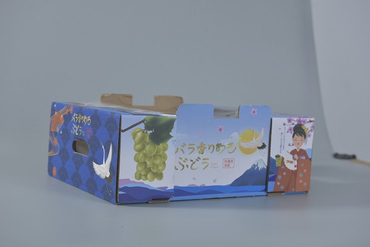 四川水果快递包装盒