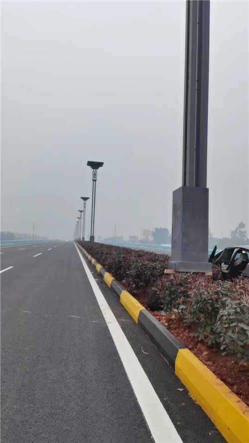 乐山市夹江县东高速出口，12米年画智慧路灯22年春节前全部安装调试完成。