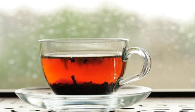 信阳红茶种植