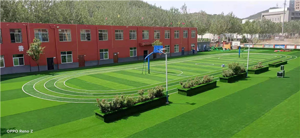 為什么學校的足球場都選擇使用人造草坪？